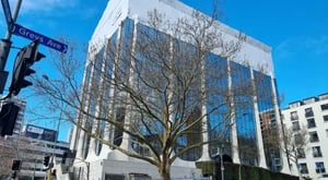 Greys Ave webpage banner Tectonus RSFJ